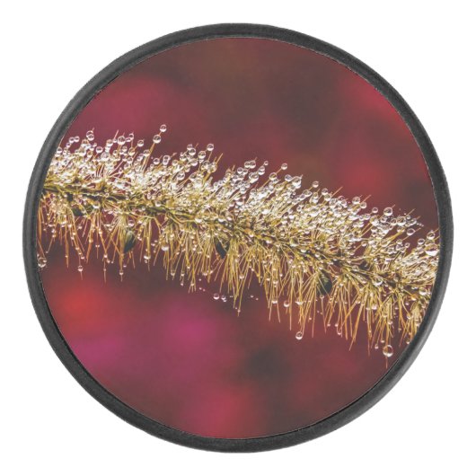 Morning Dew Hockey Puck (Voorkant)