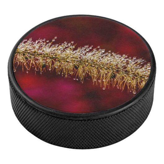 Morning Dew Hockey Puck (3/4)