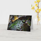 Morning Dew, kaart (Gele Bloem)