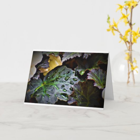 Morning Dew, kaart (Gele Bloem)