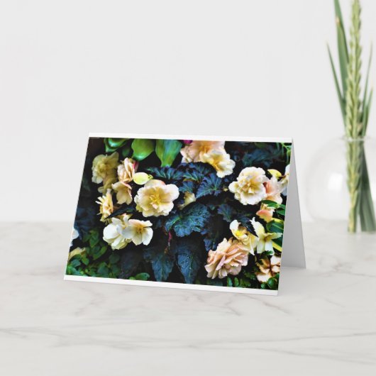 Morning Dew, kaart (Voorkant)