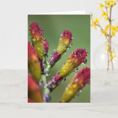 Morning Dew, kaart (Gele Bloem)