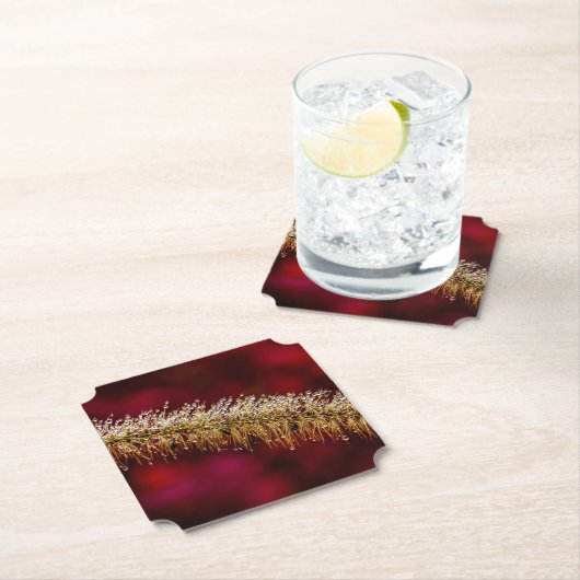 Morning Dew Kartonnen Onderzetters (Insitu)