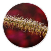 Morning Dew Keramische Knop (Voorkant)