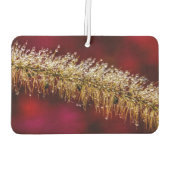 Morning Dew Luchtverfrisser (Achterkant)