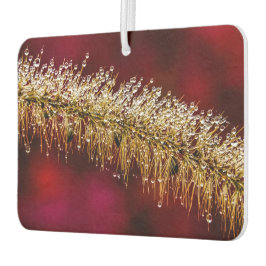 Morning Dew Luchtverfrisser