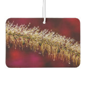 Morning Dew Luchtverfrisser (Voorkant)