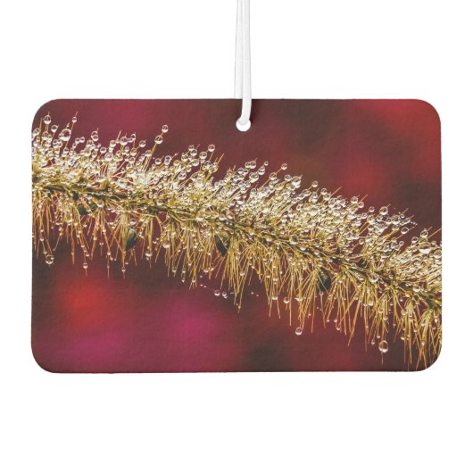 Morning Dew Luchtverfrisser (Voorkant)