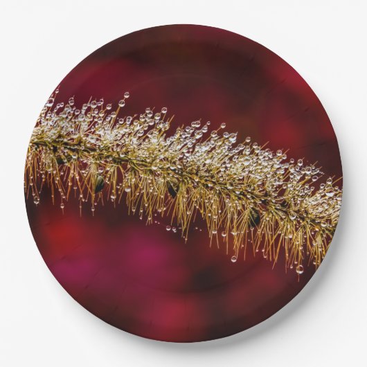 Morning Dew Papieren Bordje (Voorkant)