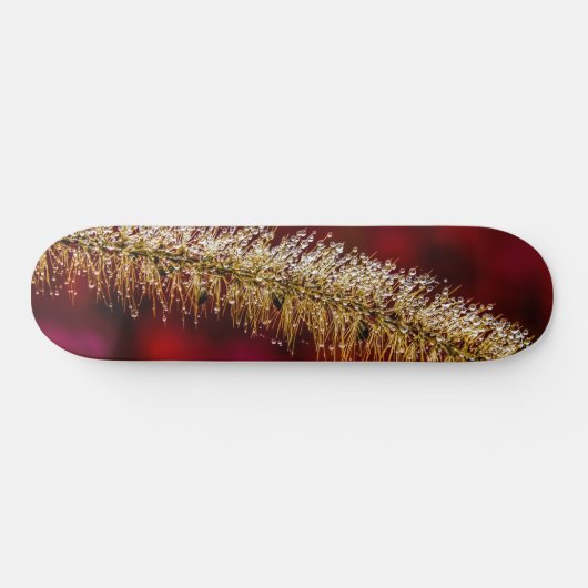 Morning Dew Persoonlijk Skateboard (Horizontaal)