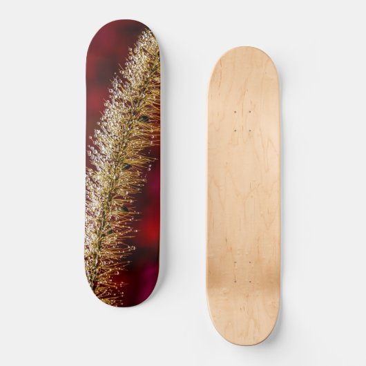 Morning Dew Persoonlijk Skateboard (Voorkant)