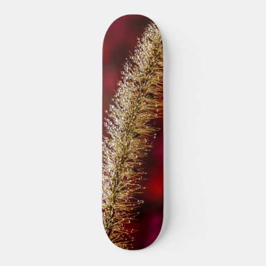 Morning Dew Persoonlijk Skateboard (Voorkant)