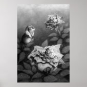 Morning Dew Poster (Voorkant)