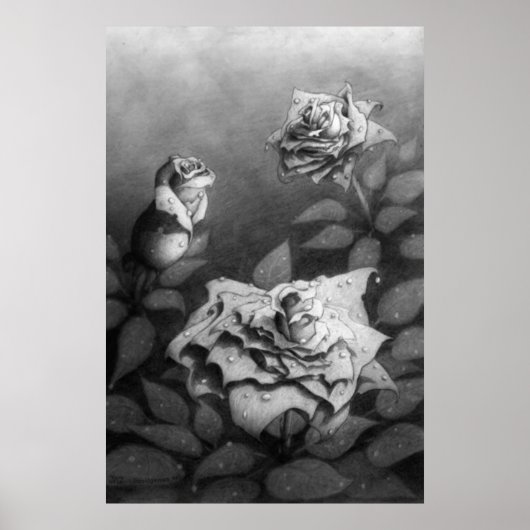 Morning Dew Poster (Voorkant)