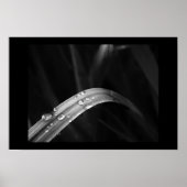 Morning Dew Poster (Voorkant)