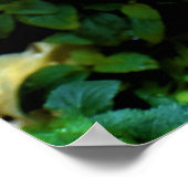 Morning Dew, Poster (Hoek)