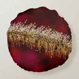 Morning Dew Rond Kussen