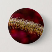 Morning Dew Ronde Button 5,7 Cm (Voorkant)