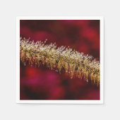 Morning Dew Servet (Voorkant)