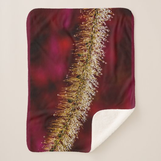 Morning Dew Sherpa Deken (Voorkant)