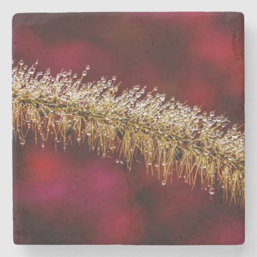 Morning Dew Stenen Onderzetter (Voorkant)