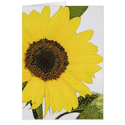 Morning Dew Sunflower (Voorkant)