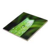 Morning Dew Water Droplet Tegeltje (Zijkant)