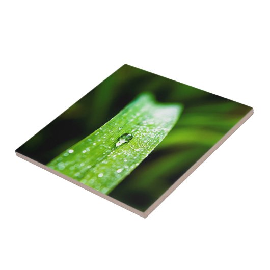 Morning Dew Water Droplet Tegeltje (Zijkant)