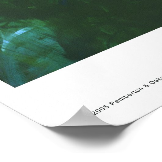 Morning Discovery Poster (Hoek)