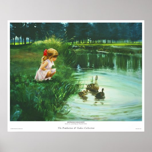 Morning Discovery Poster (Voorkant)