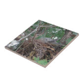 Morning Dove Nesting Tegeltje (Zijkant)