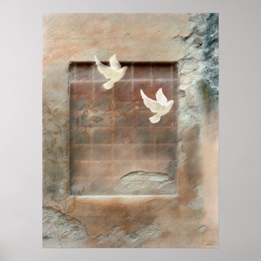 Morning Dove Poster (Voorkant)