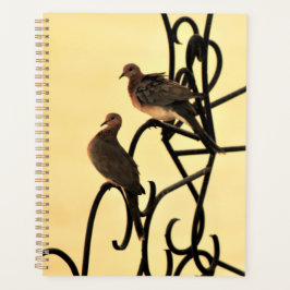 Morning Doves Planner