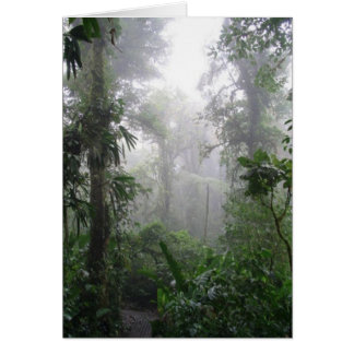 Morning Fog
