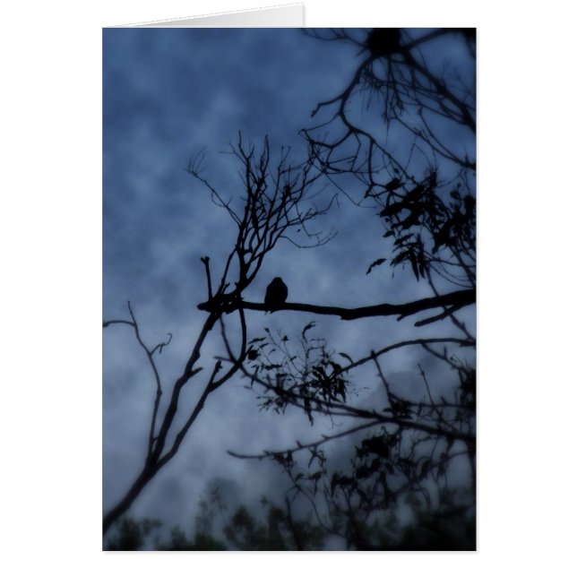 Morning Fog Bird op Branches Kaart (Voorkant)