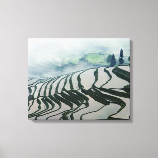 Morning Fog boven rijstvelden Canvas Afdruk (Voorkant)