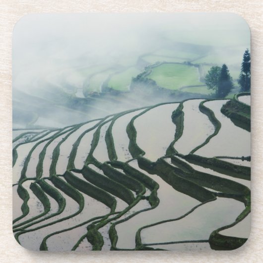 Morning Fog boven rijstvelden Drankjes Onderzetter (Voorkant)