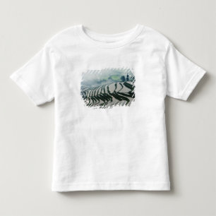 Morning Fog boven rijstvelden Kinder Shirts