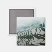 Morning Fog boven rijstvelden Magneet (Voorkant / Achterkant)