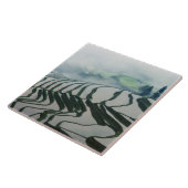 Morning Fog boven rijstvelden Tegeltje (Zijkant)