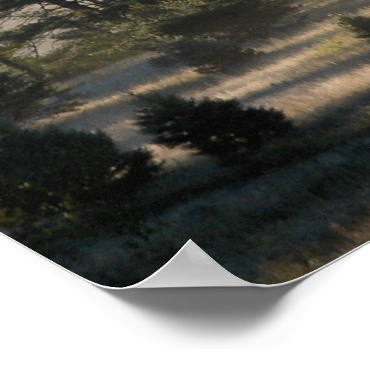 Morning Fog in de Adirondacks 4 Poster (Hoek)