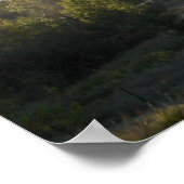 Morning Fog in de Adirondacks 5 Poster (Hoek)
