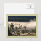 Morning Fog in de Adirondacks Briefkaart (Voorkant / Achterkant)