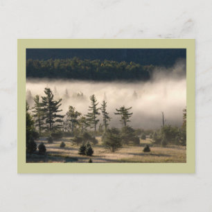 Morning Fog in de Adirondacks Briefkaart