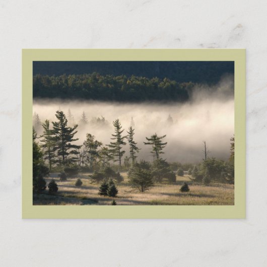 Morning Fog in de Adirondacks Briefkaart (Voorkant)