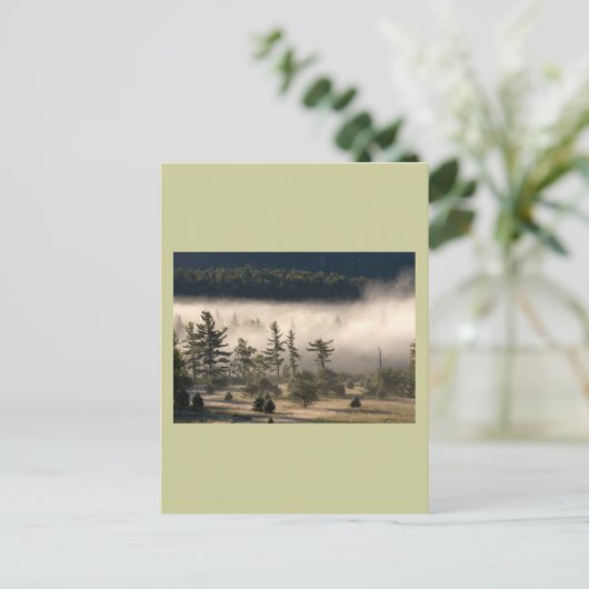 Morning Fog in de Adirondacks Briefkaart (Staand voorkant)