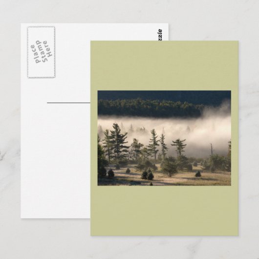 Morning Fog in de Adirondacks Briefkaart (Voorkant / Achterkant)