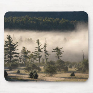 Morning Fog in de Adirondacks Muismat