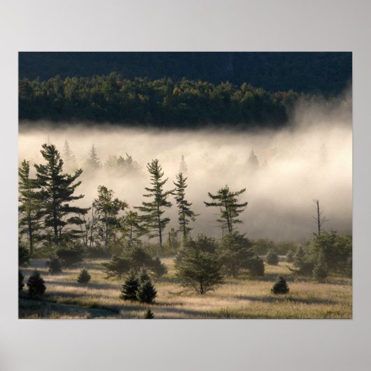 Morning Fog in de Adirondacks Poster (Voorkant)