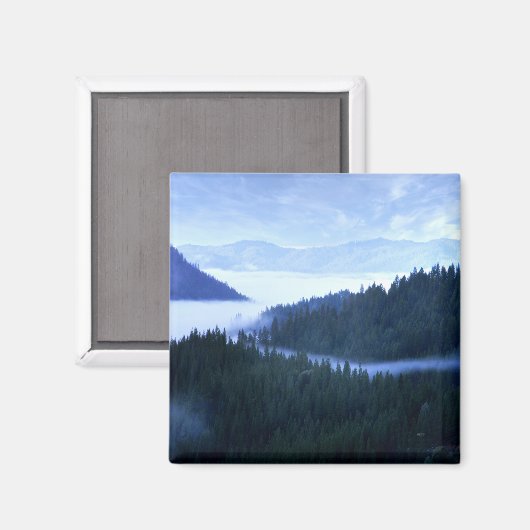 Morning Fog..... Magneet (Voorkant / Achterkant)